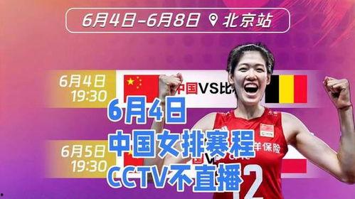 中央6套在线直播观看6,重温经典，感受体育魅力  第3张